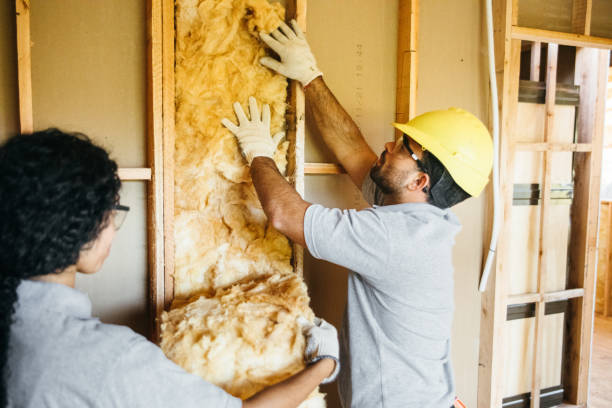 Best Insulation for Existing Homes  in Monteagle, TN